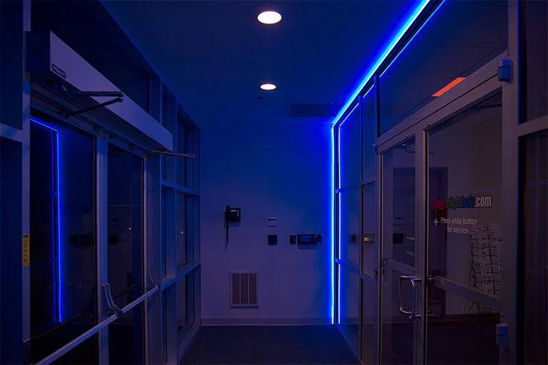 nf-b30-illuminating-office-entrance-inside_1a8b9b2d-e28a-4505-908d-383110f63b08.jpg Blue LED Neon Flex AC 220V 240V 8x16mm 120LEDs/m IP65 Waterproof with UK Plug - Image 20