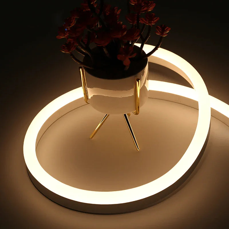 ww0810.jpg Warm White Neon Flex DC 12V IP65 Waterproof 8x16mm 120 LEDs/M Full Kit